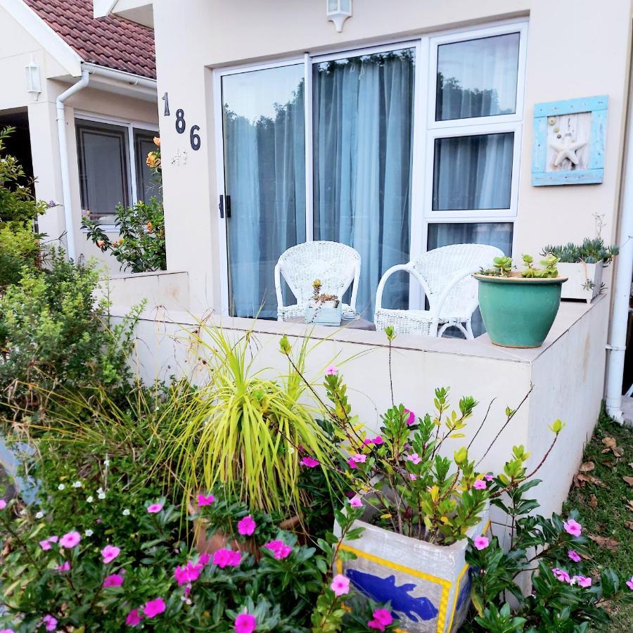 The Coelacanth Guest House And Beach Thyme Self Catering Kiddʼs Beach 外观 照片