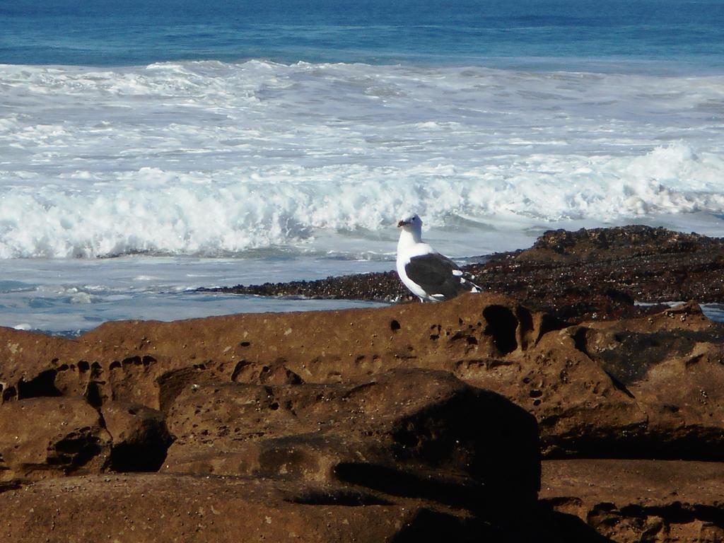 The Coelacanth Guest House And Beach Thyme Self Catering Kiddʼs Beach 外观 照片
