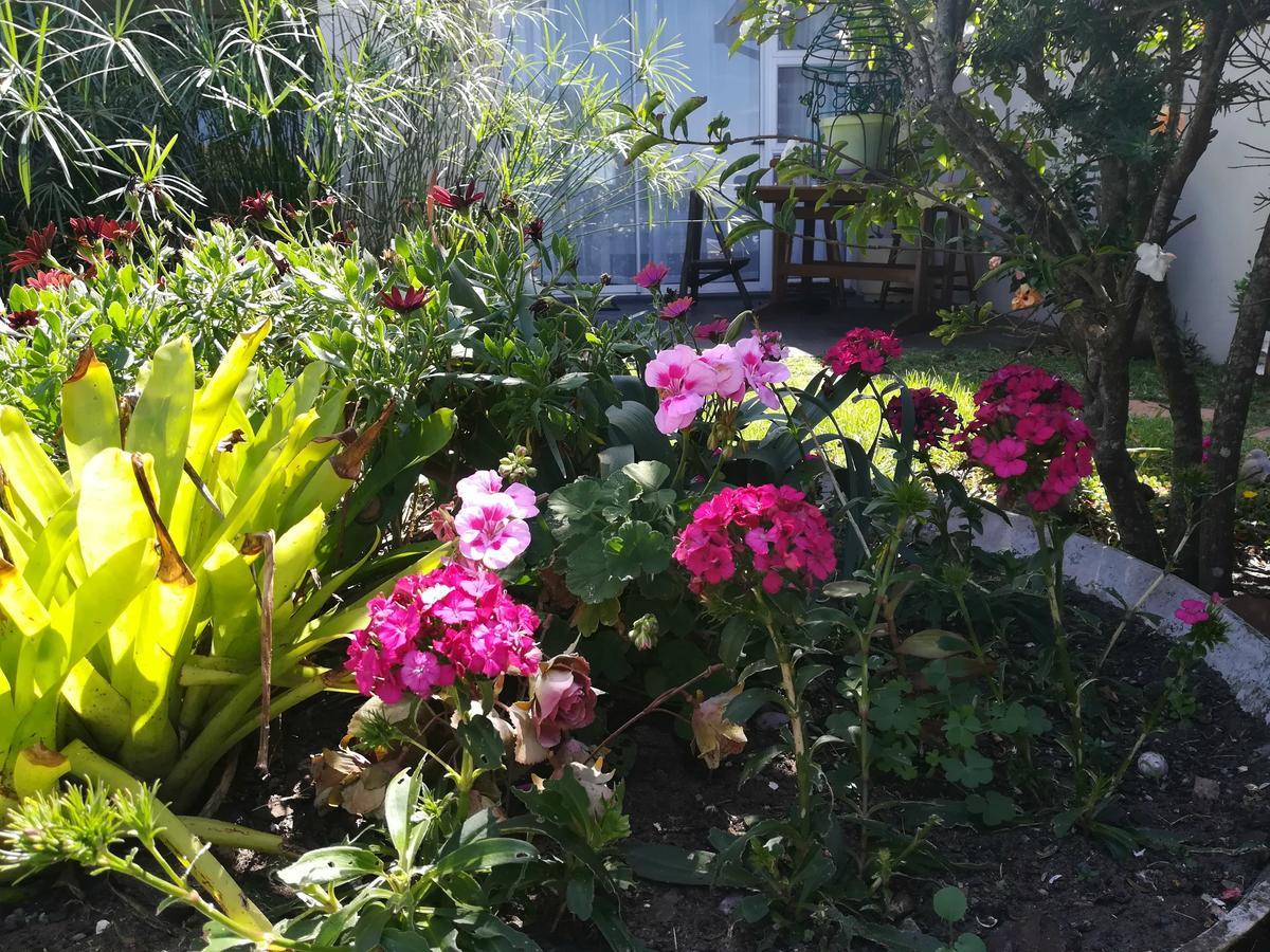 The Coelacanth Guest House And Beach Thyme Self Catering Kiddʼs Beach 外观 照片