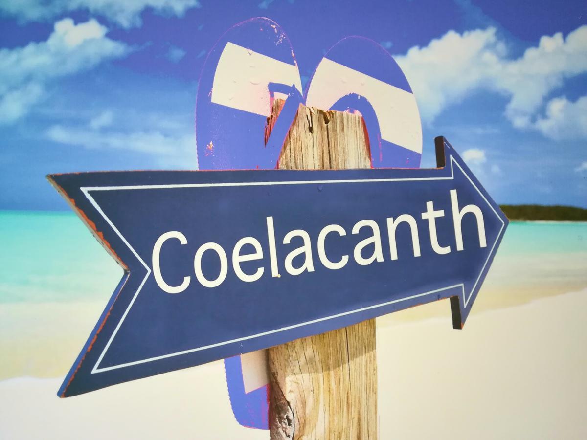 The Coelacanth Guest House And Beach Thyme Self Catering Kiddʼs Beach 外观 照片