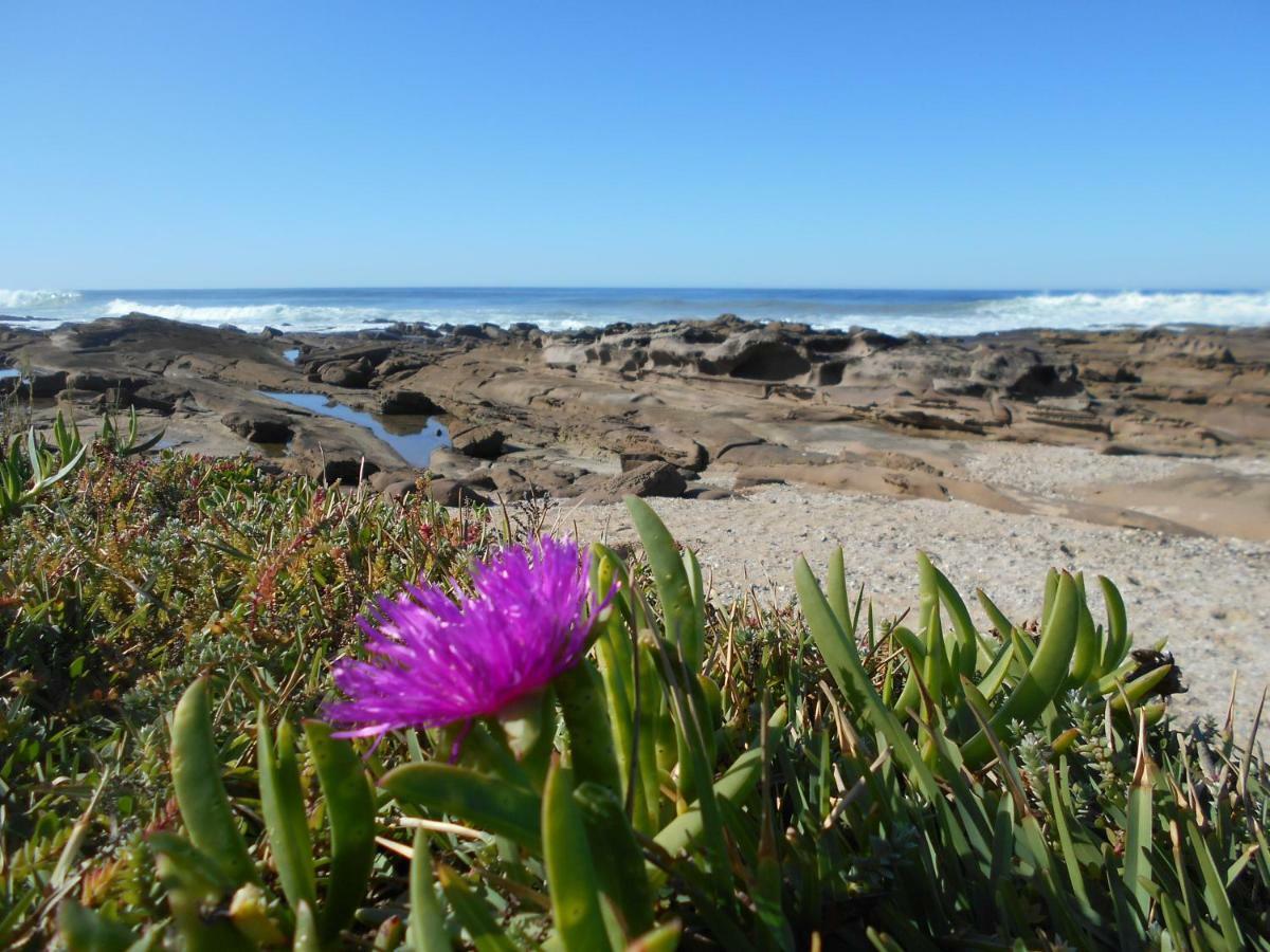The Coelacanth Guest House And Beach Thyme Self Catering Kiddʼs Beach 外观 照片